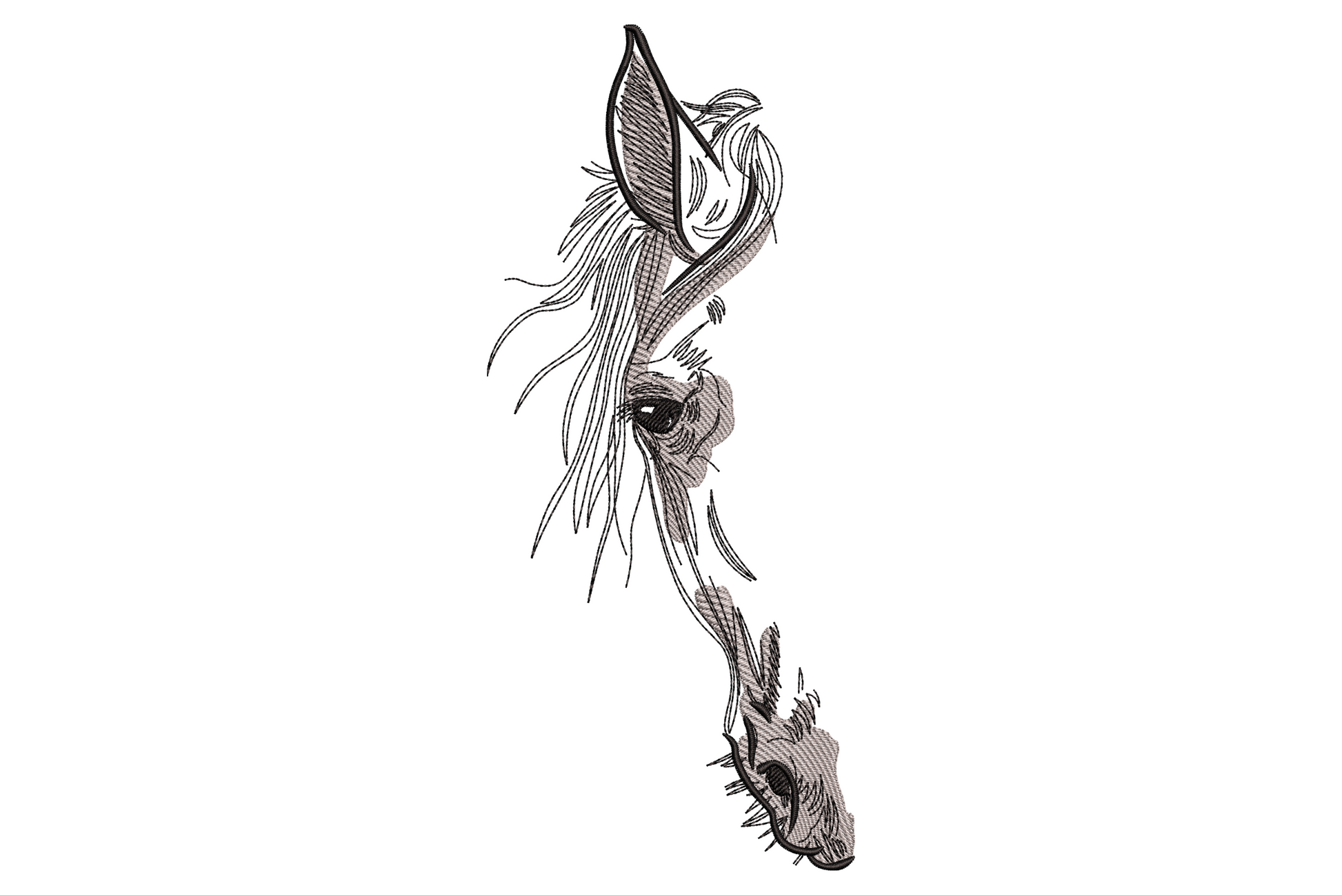 Minimalist horse head embroidery line art with sketchy strokes, ear up, flowing mane and single almond eye in black thread