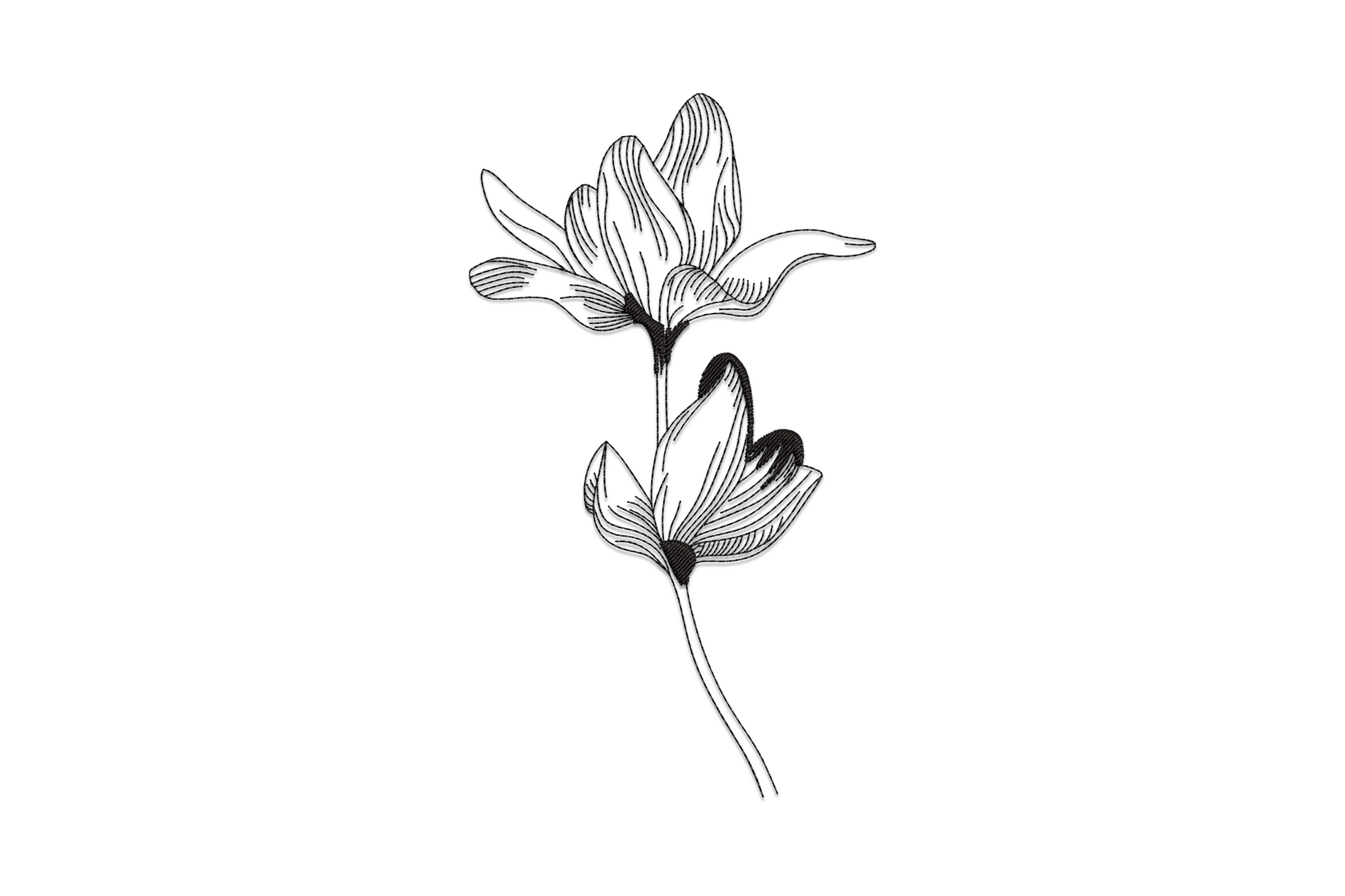 Minimalist line art flower embroidery design, single colour outline-only floral, clean botanical sketch style, one continuous contour thread path.