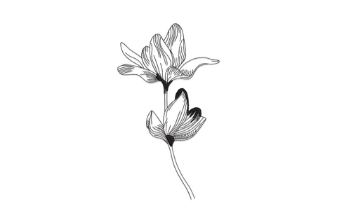 Minimalist line art flower embroidery design, single colour outline-only floral, clean botanical sketch style, one continuous contour thread path.