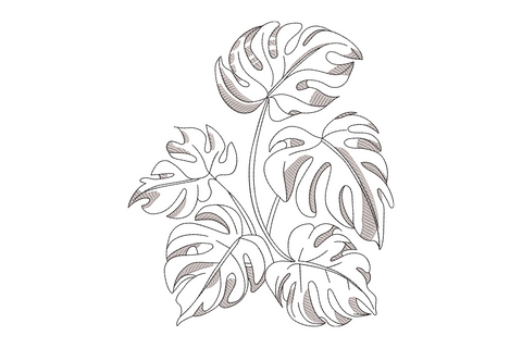 Single monstera leaf line art two colour, thin outline stroke and interior vein detail, modern botanical embroidery design on white background