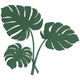 Monstera Leaves Embroidery Design, Instant Download