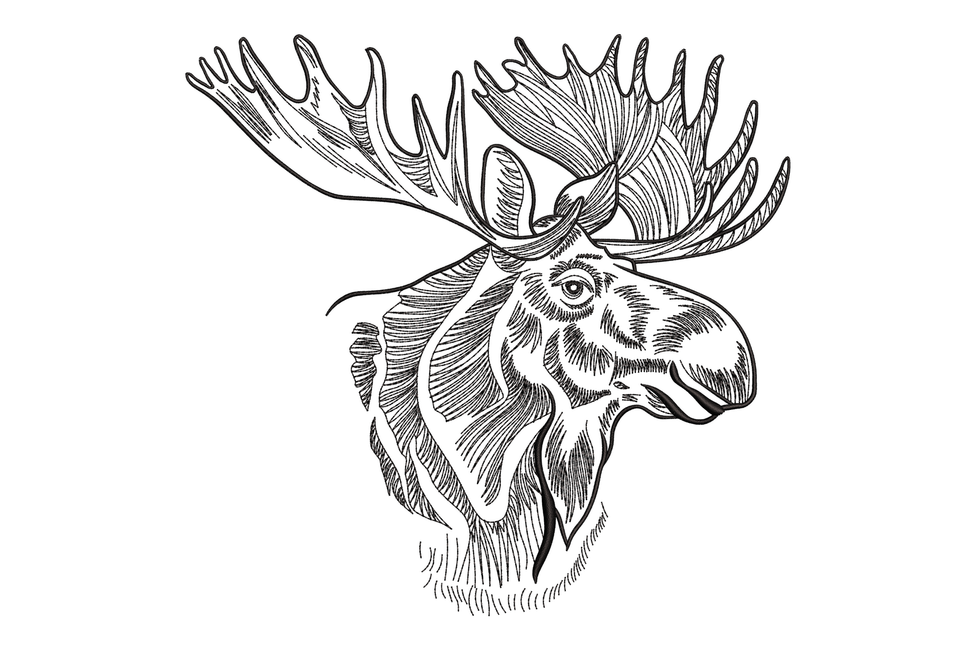 Moose head embroidery design, single colour outline, wide branching antlers, forward-facing wildlife portrait style