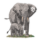 Mother Baby Elephant Embroidery Design, Wildlife Nursery Pattern