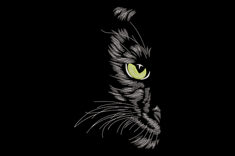 Mystic black cat eye embroidery design with vertical slit pupil and radial iris stitching, dark and moody close-up style
