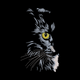 Mystical Cat Half Face Embroidery Design, Instant Download