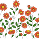 Orange Daisy Garden Embroidery Design, Instant Download