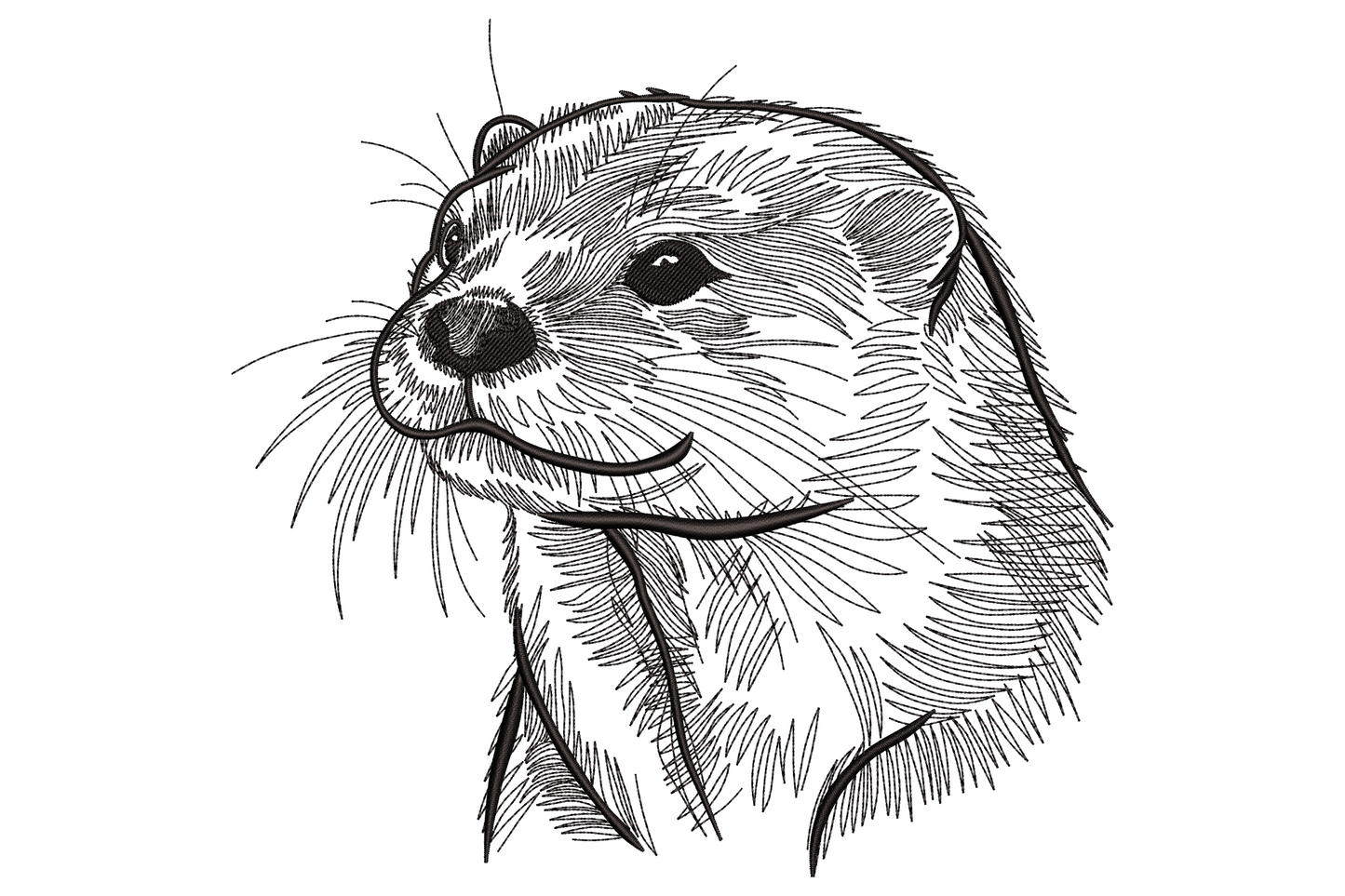 Black thread otter head sketch embroidery, hatching pen lines, whiskers fanned, half smile, monochrome wildlife portrait