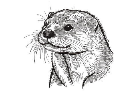 Black thread otter head sketch embroidery, hatching pen lines, whiskers fanned, half smile, monochrome wildlife portrait