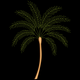 Palm Tree Embroidery Design, Tropical Machine Embroidery Pattern, Instant Download