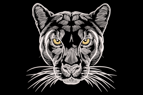 Realistic panther face embroidery design with intense amber eyes, radiating directional fur stitching, and long whiskers on white ground.