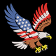 Patriotic American Eagle Embroidery Design, Independence Day Pattern, Instant Download