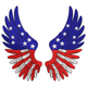 Patriotic American Eagle Wings Embroidery Design, Pattern