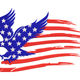 Patriotic Eagle American Flag Embroidery Design, Instant Download