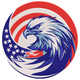 Patriotic Eagle USA Embroidery Design V2, Instant Download