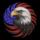 Patriotic Eagle USA Embroidery Design, Independence Day Pattern, Instant Download