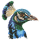 Peacock Head Embroidery Design, Instant Download