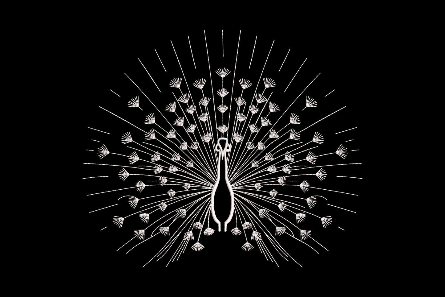 Peacock line art embroidery design showing a full frontal peacock with tail fanned in a radial semicircle, fine white outline stitching on dark background.