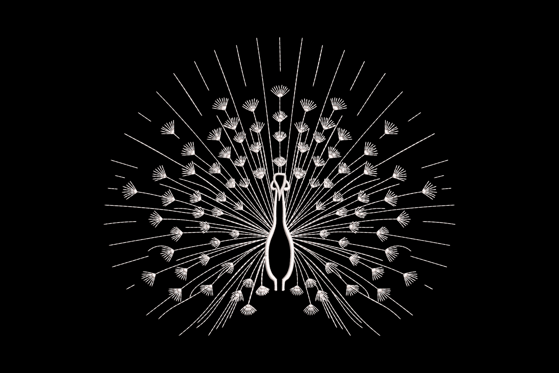 Peacock line art embroidery design showing a full frontal peacock with tail fanned in a radial semicircle, fine white outline stitching on dark background.