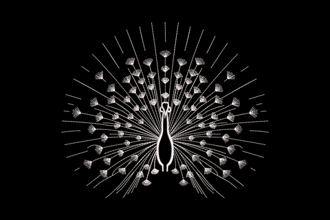 Peacock line art embroidery design showing a full frontal peacock with tail fanned in a radial semicircle, fine white outline stitching on dark background.