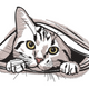 Peekaboo Cat Face Embroidery Design, Peeking Tabby Cat Pattern, Instant Download