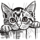 Peeking Cat Embroidery Design, Curious Cat Peek Machine Embroidery Pattern, Instant Download