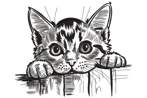 Peeking cat machine embroidery design, three colours, grey and white cartoon cat peering over a ledge, wide curious eyes, 3.5 to 7.5 inch sizes.