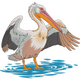 Pelican Standing in Water Embroidery Design, Instant Download