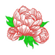 Peony Flower Line Art Embroidery Design, Instant Download