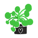 Pilea Money Plant Embroidery Design, Instant Download