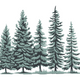 Pine Forest Embroidery Design, Woodland Trees Machine Embroidery Pattern, Instant Download