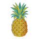 Pineapple Embroidery Design, Tropical Fruit Machine Embroidery Pattern, Instant Download