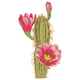 Pink Cactus Flower Embroidery Design, Instant Download