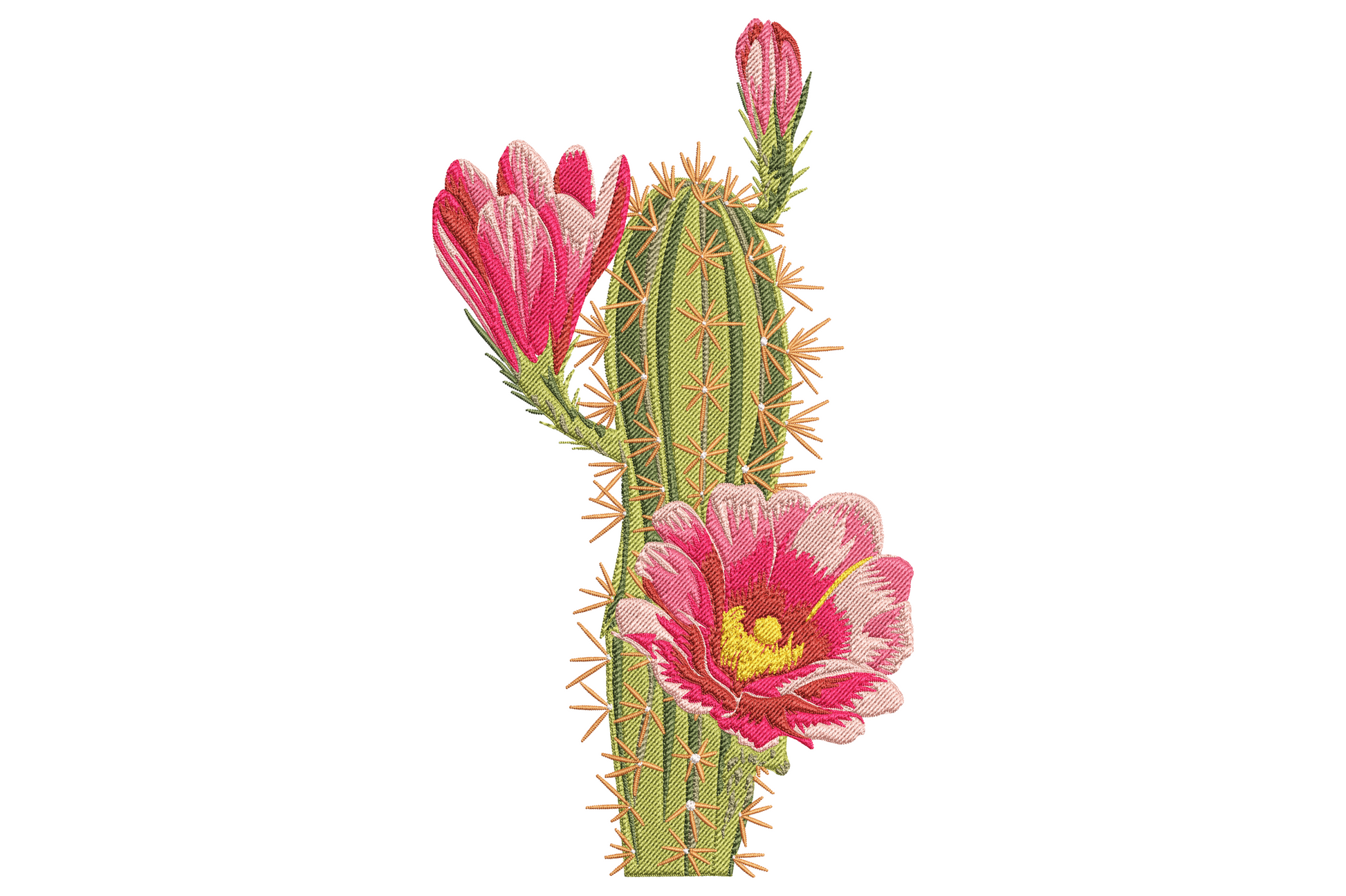 Pink cactus flower embroidery design with tall olive green cactus, amber spines and blush pink blooms on cream linen.