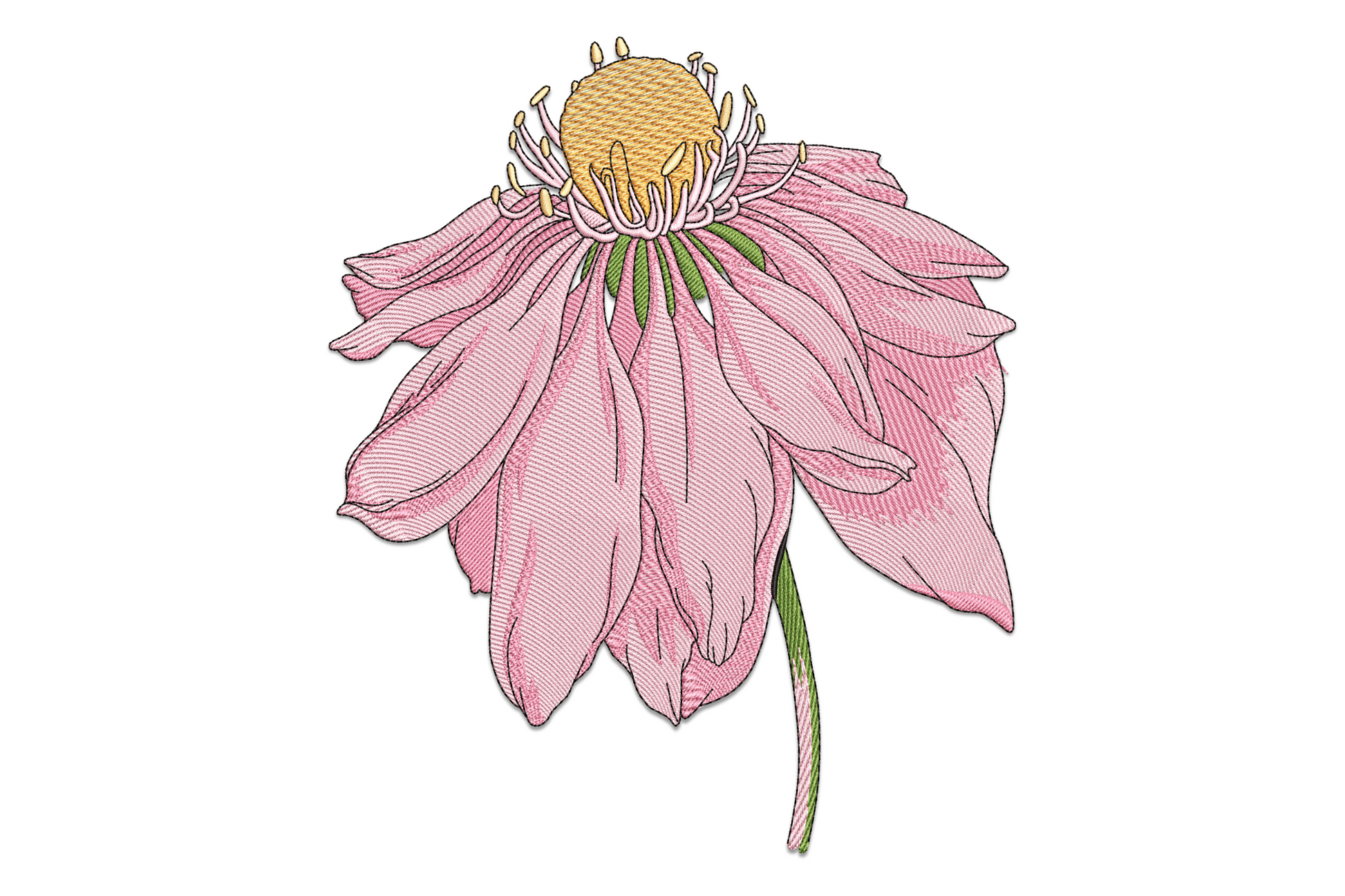 Pink coneflower embroidery design, drooping petals and green stem, 6-color botanical machine embroidery on white