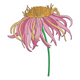 Pink Echinacea Flower Embroidery Design, Wildflower Machine Embroidery Pattern, Instant Download
