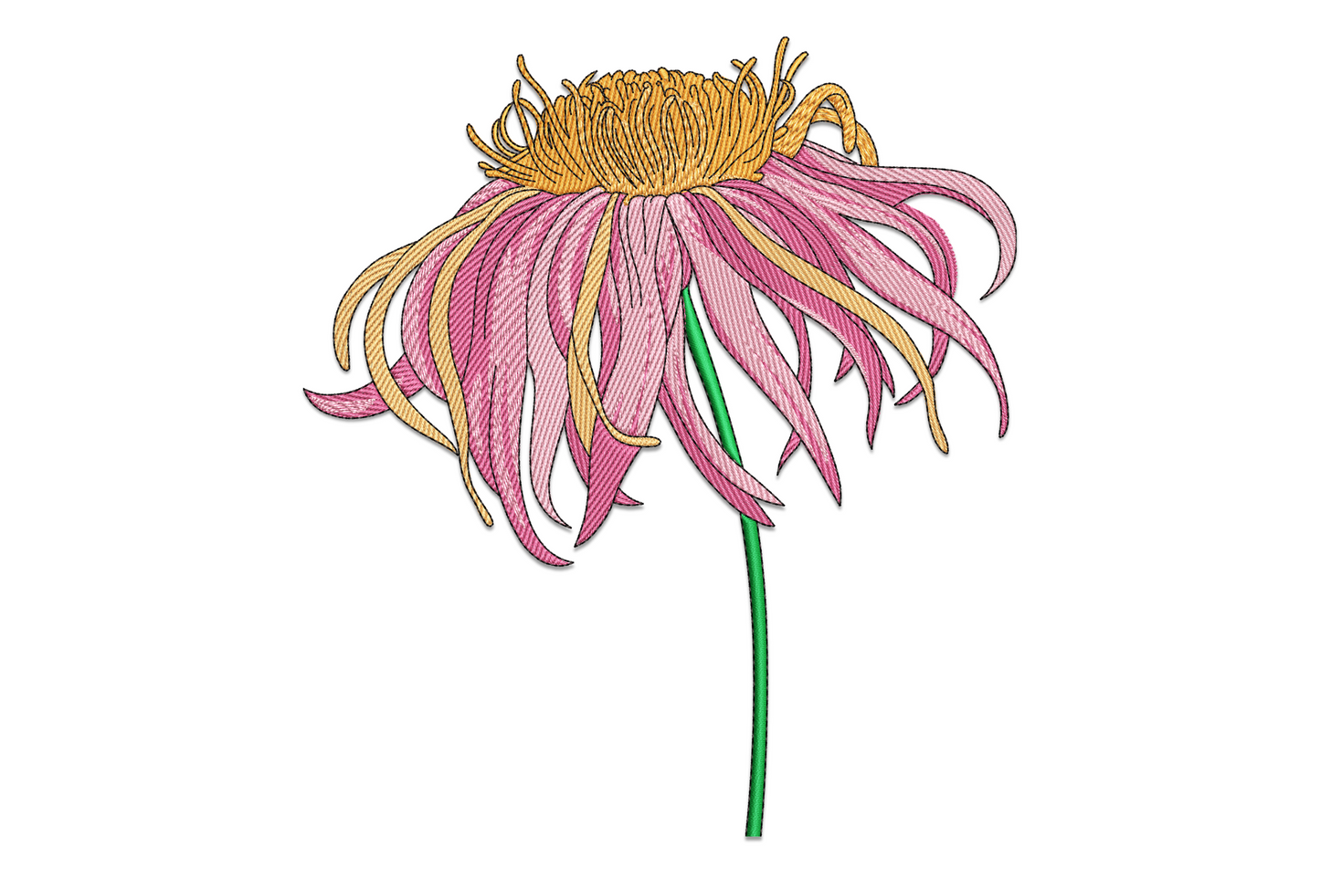 Single pink echinacea coneflower embroidery with drooping petals in cotton candy and mauve-pink, raised orange seed-head cone and tall green stem, machine embroidery design on white background