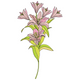 Pink Lily Flowers Embroidery Design, Instant Download