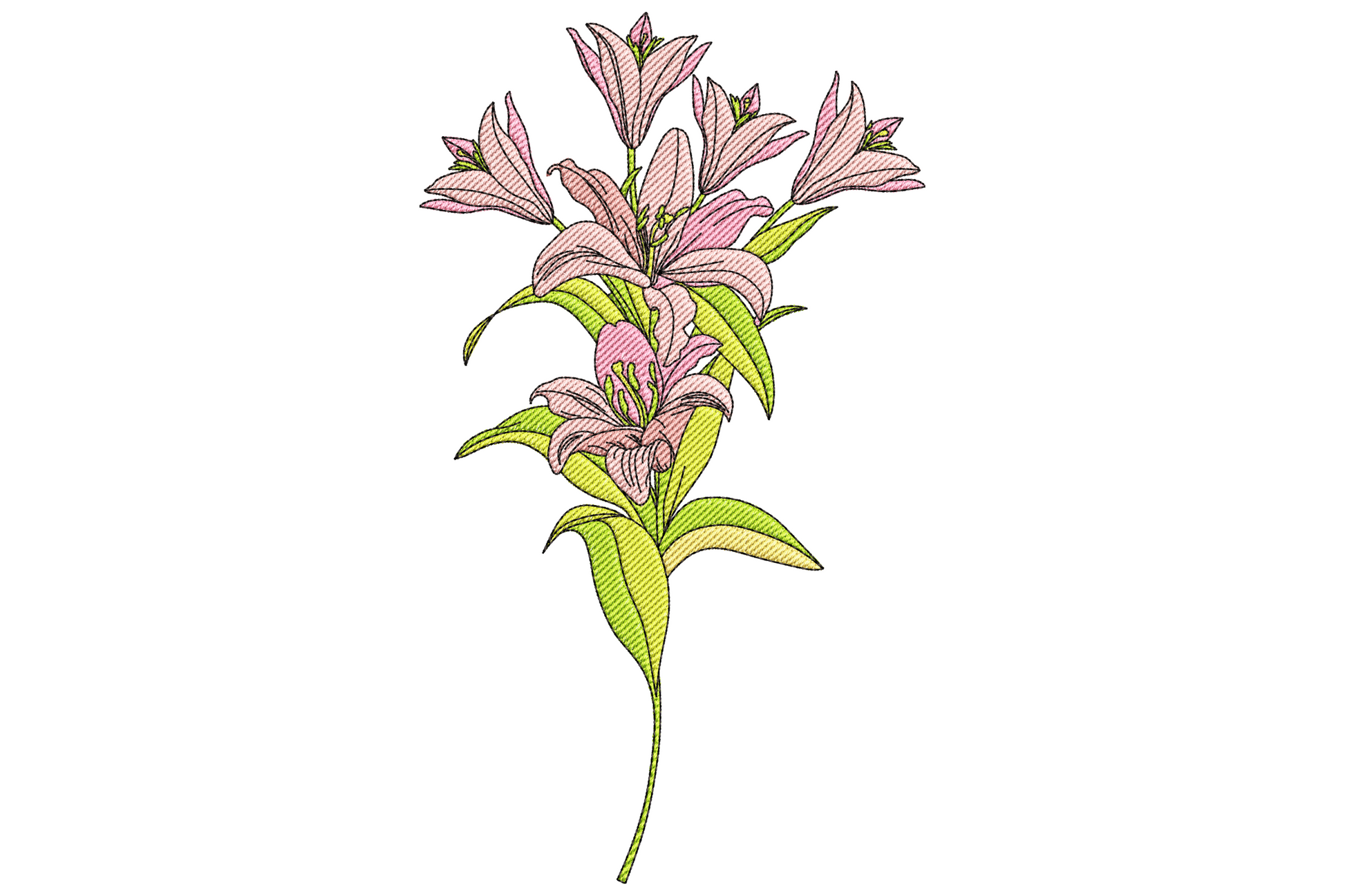 Tall pink lily stem with two open blooms in layered blush and rose, narrow buds below, 7-colour botanical embroidery.
