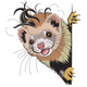 Playful Ferret Embroidery Design, Instant Download