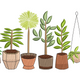 Potted Houseplants Line Embroidery Design, Instant Download
