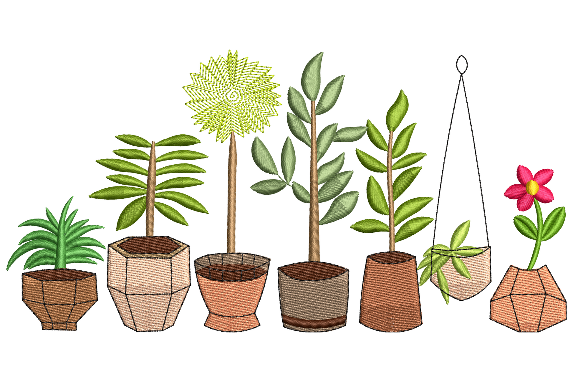 Row of seven potted houseplants embroidery with palms ferns succulent topiary and hanging glass air plant in terra cotta pots