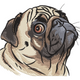 Pug Dog Embroidery Design, Instant Download