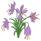 Purple Crocus Flower Bouquet Embroidery Design, Instant Download