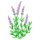 Purple Lavender Flower Embroidery Design, Instant Download