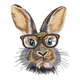 Rabbit with Glasses Embroidery Design, Bunny Portrait