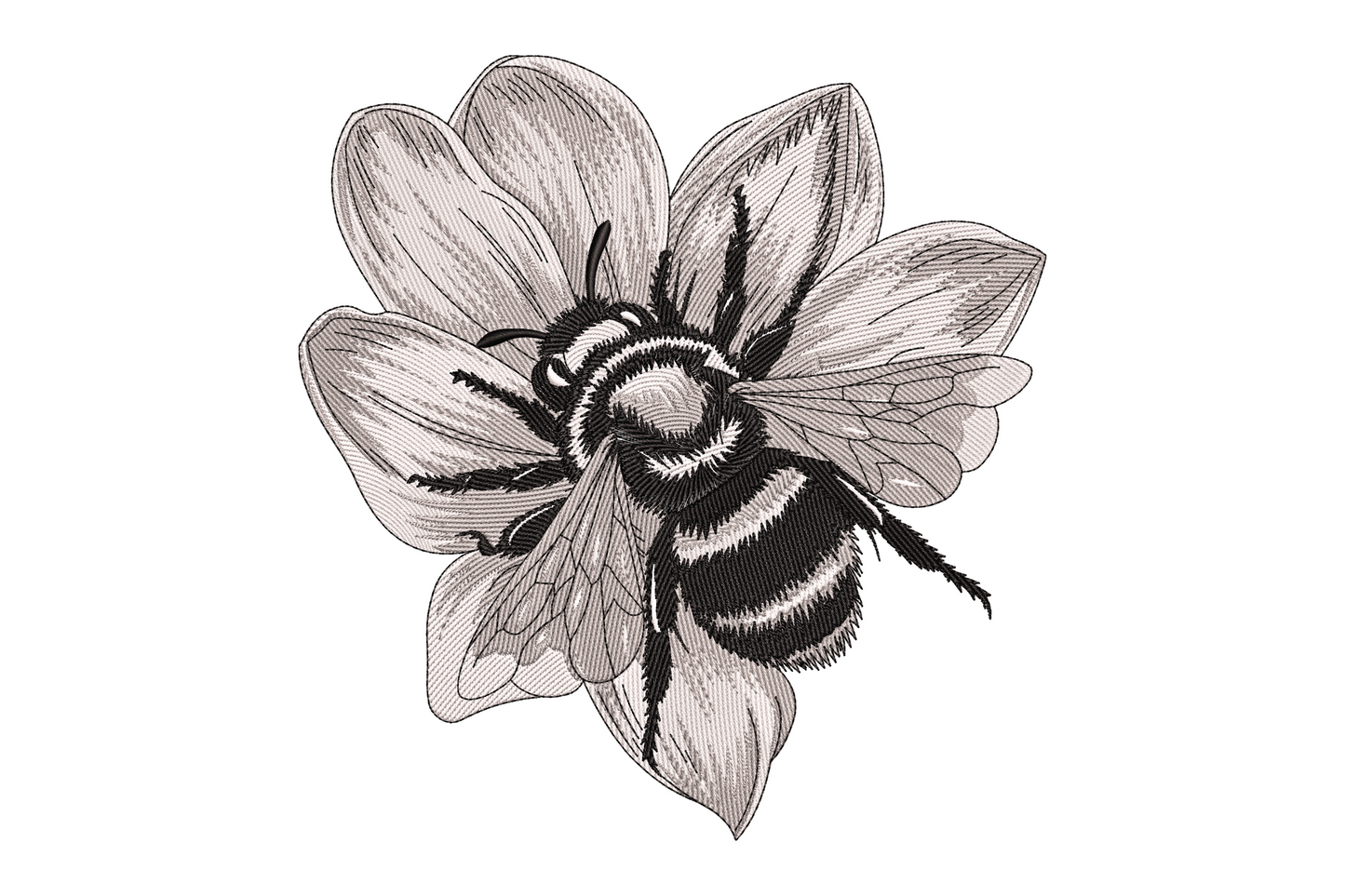Realistic bee on flower embroidery in engraving style, monochrome black and grey, bumblebee resting on wide open five-petal bloom with crosshatch and directional line fills.