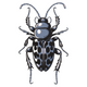 Realistic Beetle Insect Embroidery Design, Instant Download