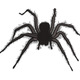Realistic Black Spider Embroidery Design, Halloween Machine Embroidery Pattern, Instant Download