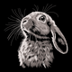 Realistic Bunny Embroidery Design, Instant Download