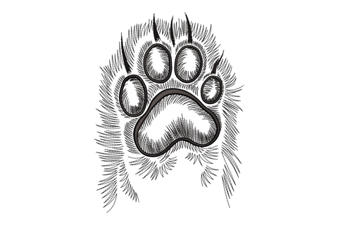 Realistic dog paw print embroidery in black pen-sketch style with hatched toe pads, fur texture and three claws, on white background.
